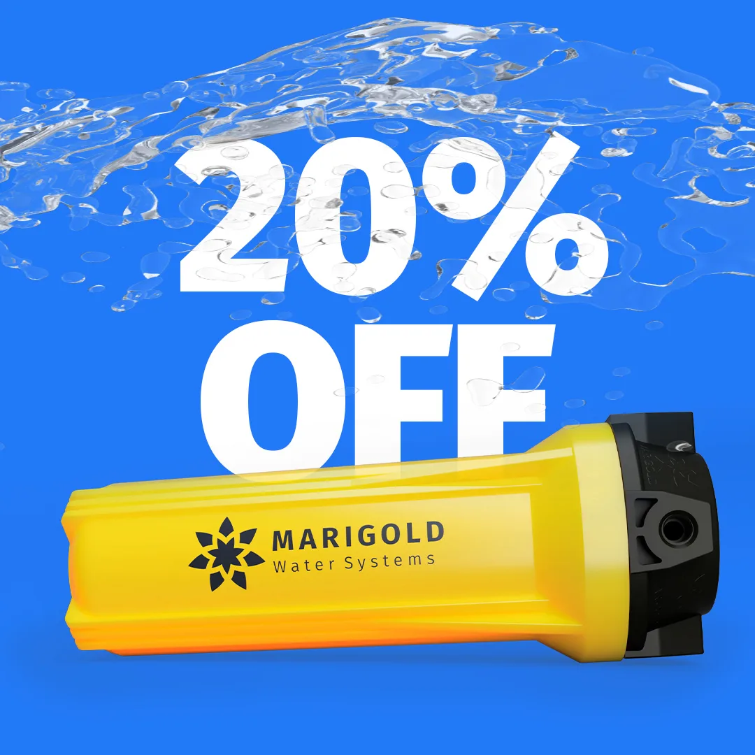 Marigold advertising concept