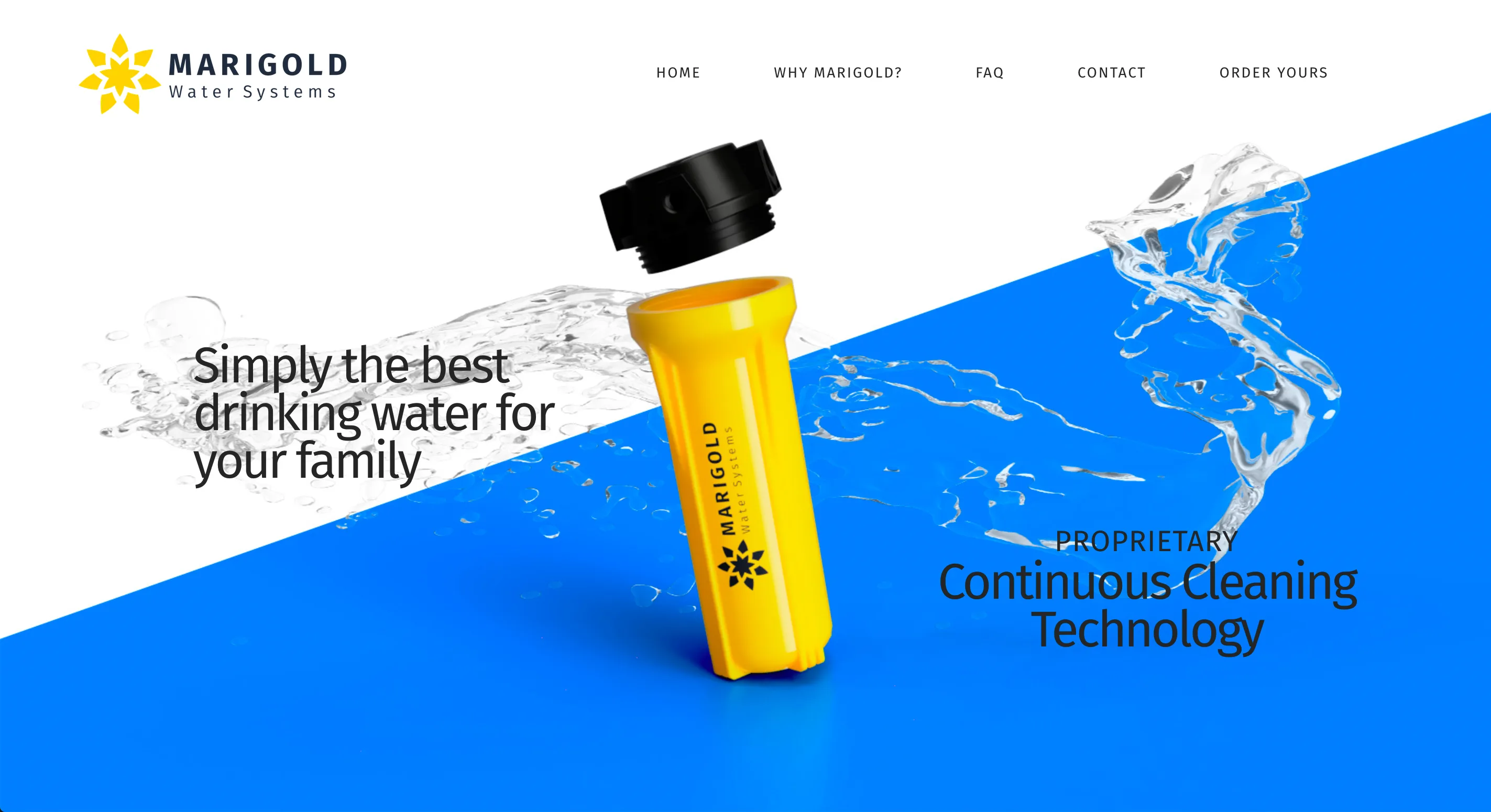 Marigold desktop homepage design