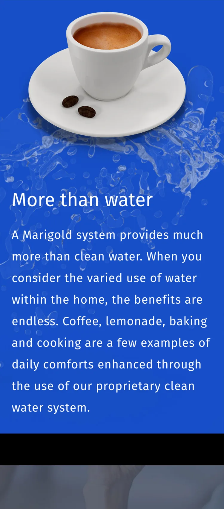 Marigold mobile homepage design