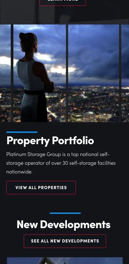 Platinum Storage mobile form screen